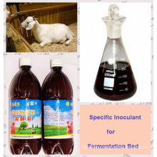 algal Bio Inoculant for making Ferment Bed Used